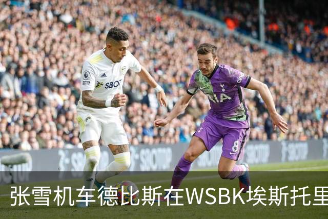 张雪机车德比斯在WSBK埃斯托里尔站斩获第六，积分榜更新