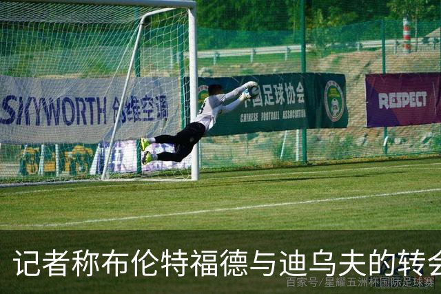 记者称布伦特福德与迪乌夫的转会谈判已结束，塞媒报道不实